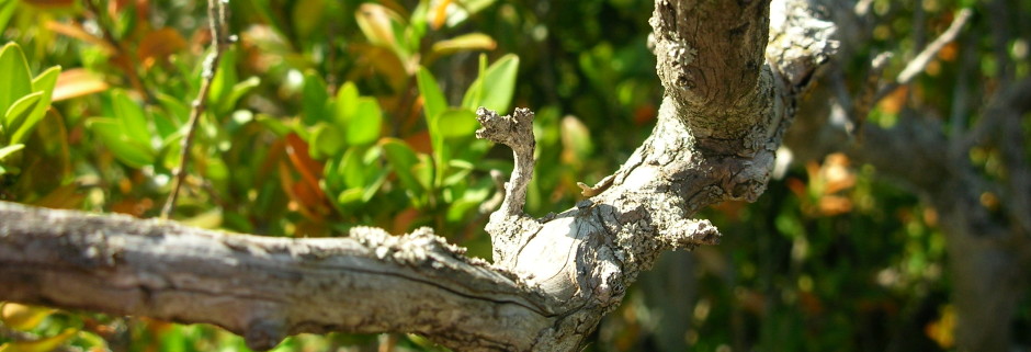 Zentrum für spirituelle Energiearbeit